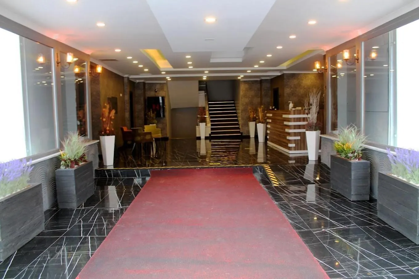 Animos Butik Otel 安卡拉 土耳其